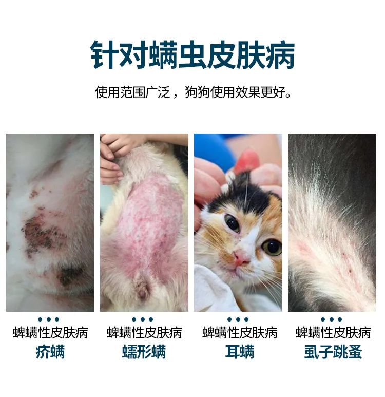 派维螨可净喷剂60ml瓶用于犬猫疥螨耳螨蠕形螨及混合感染